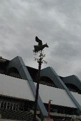 IMG_0565.JPG