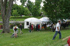 IMG_0545.JPG
