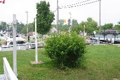 IMG_1086.JPG
