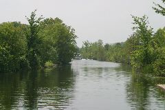 IMG_1096.JPG
