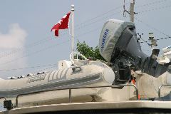 IMG_1109.JPG