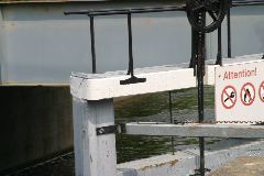 IMG_1129.JPG
