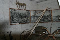 IMG_1013.JPG