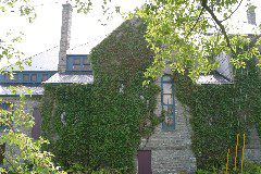 IMG_0981.JPG