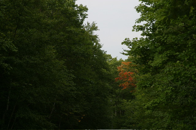 IMG_4846.JPG
