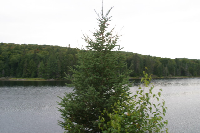 IMG_4858.JPG
