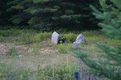 IMG_4816.JPG