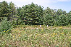 IMG_4825.JPG