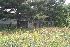 IMG_4830.JPG