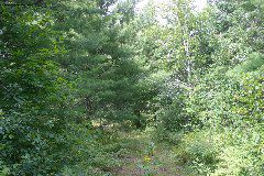 IMG_4832.JPG