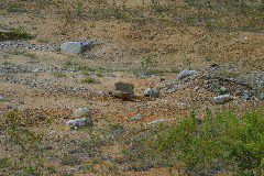 IMG_4833.JPG