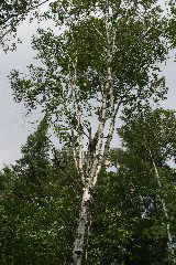 IMG_4834.JPG