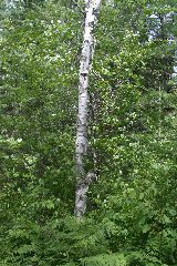 IMG_4835.JPG
