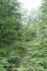 IMG_4836.JPG