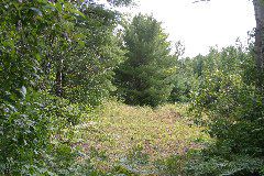 IMG_4837.JPG