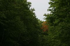 IMG_4846.JPG