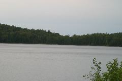 IMG_4856.JPG