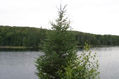 IMG_4858.JPG